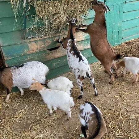 Fargogne Puygaillard-de-Quercy
