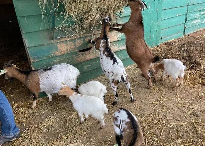 Fargogne Puygaillard-de-Quercy